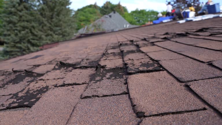 Best Green or Eco-Friendly Roofing Solutions  in Pinetops, NC