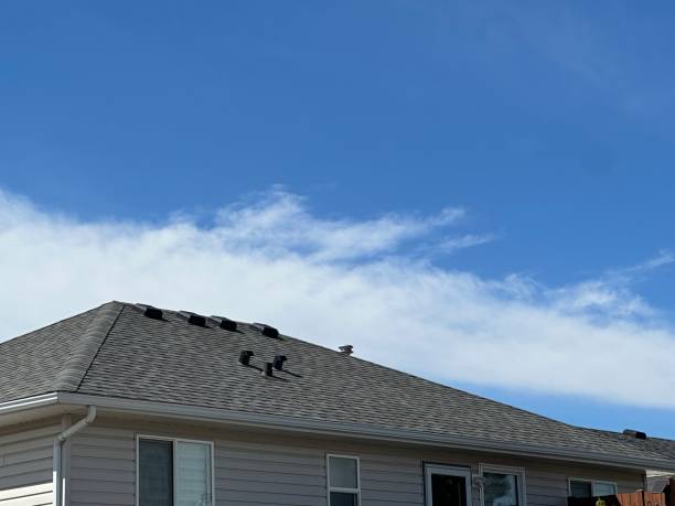 Asphalt Shingles Roofing in Pinetops, NC